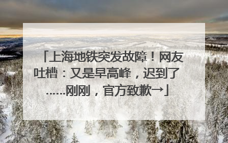 上海地铁突发故障！网友吐槽：又是早高峰，迟到了……刚刚，官方致歉→