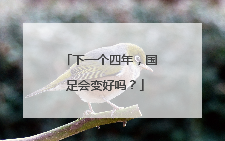 下一个四年，国足会变好吗？