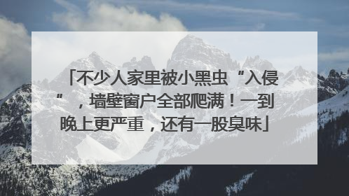 不少人家里被小黑虫“入侵”，墙壁窗户全部爬满！一到晚上更严重，还有一股臭味