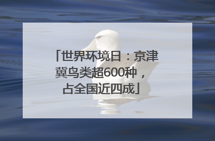 世界环境日：京津冀鸟类超600种，占全国近四成
