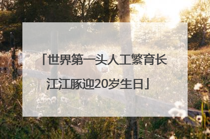 世界第一头人工繁育长江江豚迎20岁生日