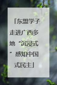 东盟学子走进广西多地“沉浸式”感知中国式民主