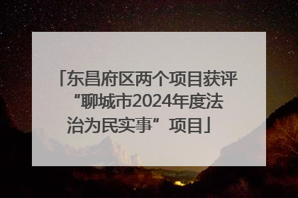 东昌府区两个项目获评“聊城市2024年度法治为民实事”项目
