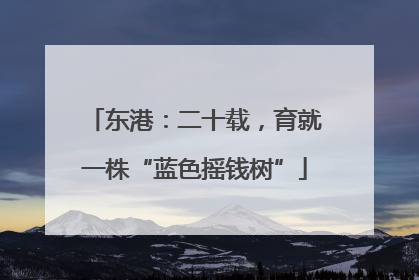 东港：二十载，育就一株“蓝色摇钱树”