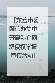 东营市委网信办集中开展涉企网络侵权举报宣传活动