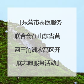 东营市志愿服务联合会在山东省黄河三角洲农高区开展志愿服务活动