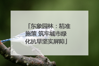 东象园林：精准施策 筑牢城市绿化抗旱坚实屏障