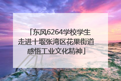 东风6264学校学生走进十堰张湾区花果街道感悟工业文化精神