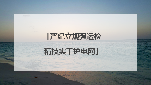 严纪立规强运检 精技实干护电网