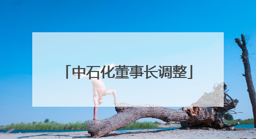 中石化董事长调整