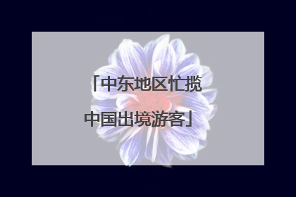 中东地区忙揽中国出境游客