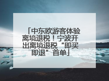 中东欧游客体验离境退税！宁波开出离境退税“即买即退”首单