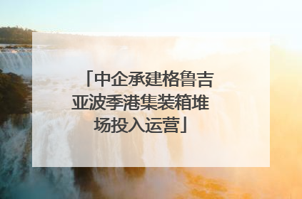 中企承建格鲁吉亚波季港集装箱堆场投入运营