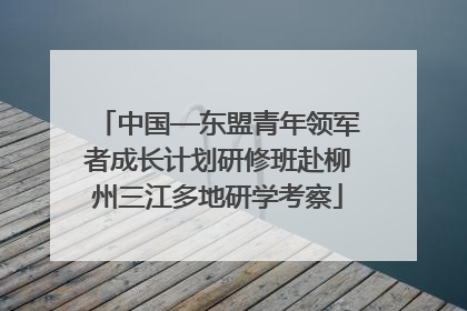 中国—东盟青年领军者成长计划研修班赴柳州三江多地研学考察
