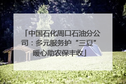 中国石化周口石油分公司：多元服务护“三夏” 暖心助农保丰收