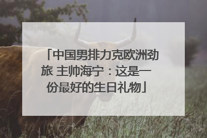 中国男排力克欧洲劲旅 主帅海宁：这是一份最好的生日礼物