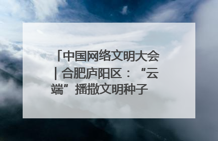 中国网络文明大会｜合肥庐阳区：“云端”播撒文明种子 共建清朗网络空间
