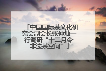 中国国际茶文化研究会副会长张仲灿一行调研“十二月令·非遗茶空间”