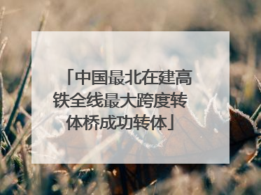 中国最北在建高铁全线最大跨度转体桥成功转体