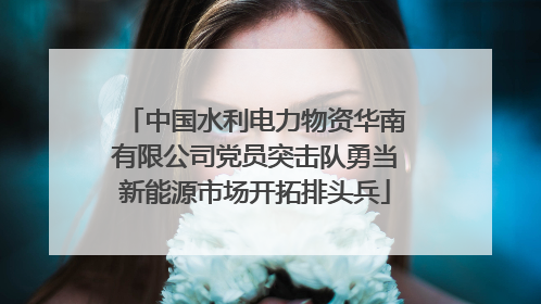 中国水利电力物资华南有限公司党员突击队勇当新能源市场开拓排头兵