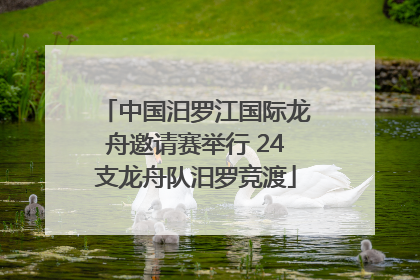 中国汨罗江国际龙舟邀请赛举行 24支龙舟队汨罗竞渡