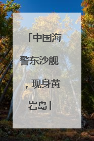 中国海警东沙舰，现身黄岩岛