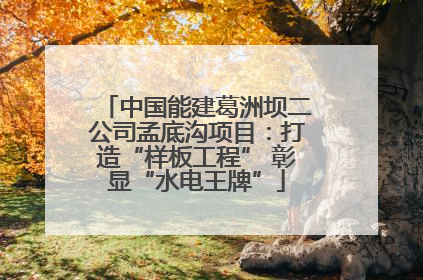 中国能建葛洲坝二公司孟底沟项目：打造“样板工程” 彰显“水电王牌”