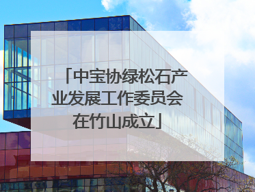 中宝协绿松石产业发展工作委员会在竹山成立
