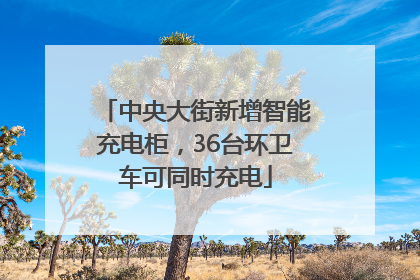 中央大街新增智能充电柜，36台环卫车可同时充电