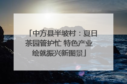 中方县半坡村：夏日茶园管护忙 特色产业绘就振兴新图景