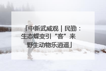 中新武威观｜民勤：生态蝶变引“客”来 野生动物乐逍遥