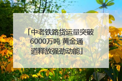 中老铁路货运量突破6000万吨 黄金通道释放强劲动能