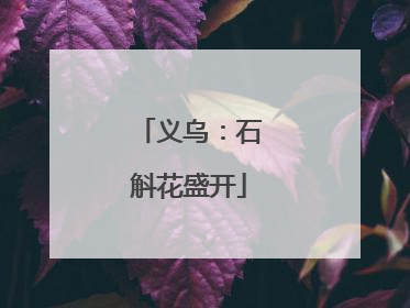 义乌：石斛花盛开