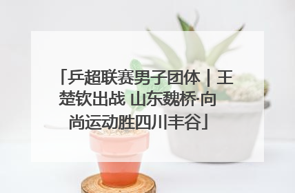乒超联赛男子团体｜王楚钦出战 山东魏桥·向尚运动胜四川丰谷