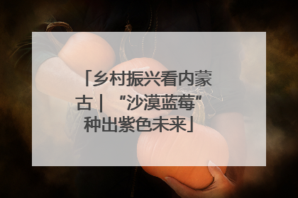 乡村振兴看内蒙古｜“沙漠蓝莓”种出紫色未来