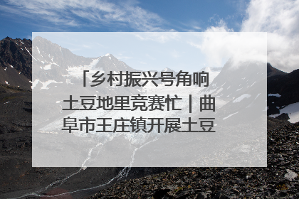 乡村振兴号角响 土豆地里竞赛忙｜曲阜市王庄镇开展土豆收获劳动竞赛