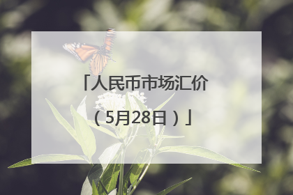 人民币市场汇价（5月28日）