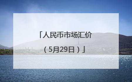 人民币市场汇价（5月29日）