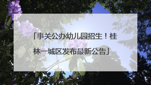 事关公办幼儿园招生！桂林一城区发布最新公告