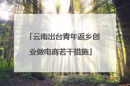 云南出台青年返乡创业做电商若干措施