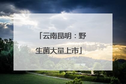 云南昆明：野生菌大量上市