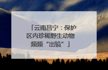 云南昌宁：保护区内珍稀野生动物频频“出镜”