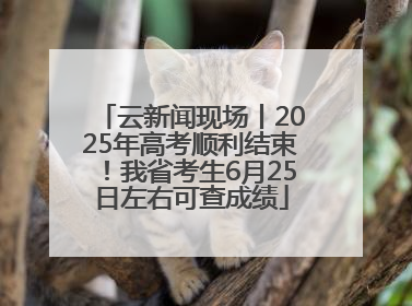 云新闻现场丨2025年高考顺利结束！我省考生6月25日左右可查成绩