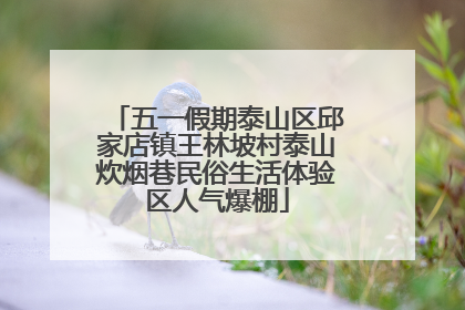 五一假期泰山区邱家店镇王林坡村泰山炊烟巷民俗生活体验区人气爆棚