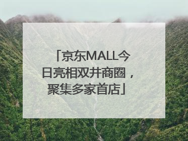 京东MALL今日亮相双井商圈，聚集多家首店