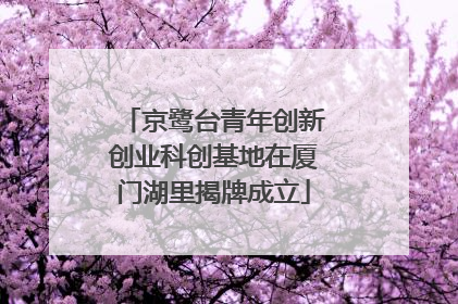 京鹭台青年创新创业科创基地在厦门湖里揭牌成立