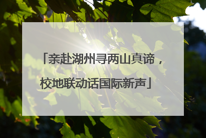 亲赴湖州寻两山真谛，校地联动话国际新声