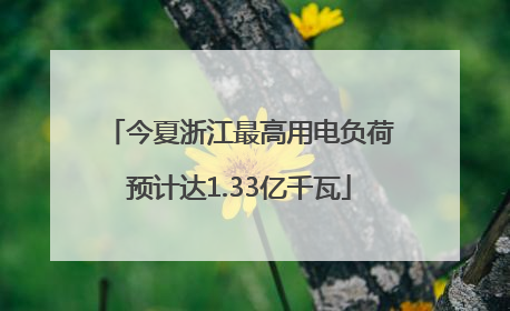 今夏浙江最高用电负荷预计达1.33亿千瓦