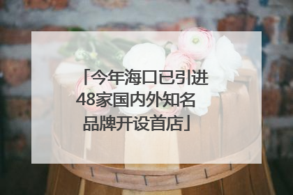 今年海口已引进48家国内外知名品牌开设首店