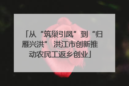 从“筑巢引凤”到“归雁兴洪” 洪江市创新推动农民工返乡创业